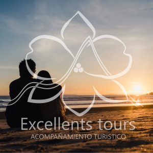 logo playa