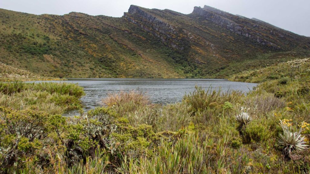 parque-nacional-natural-chingaza-caminata-cerca-de-bogota