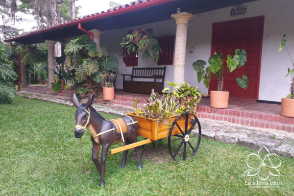 tradicion-cafetera