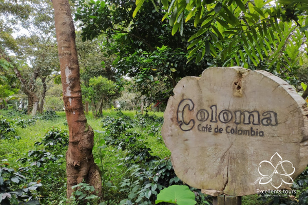 cafe-de-monteverde-coffee-tour