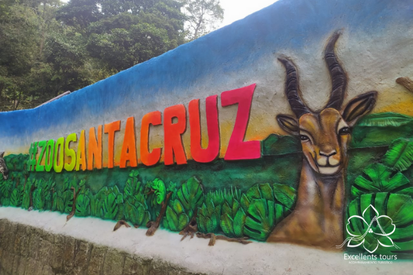 zoologico-santacruz