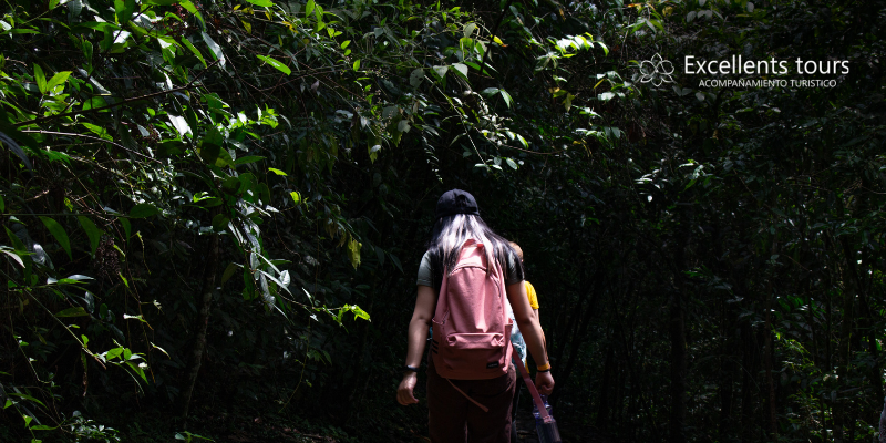 caminata-ecologica