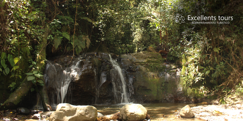 naturaleza-y-vida
