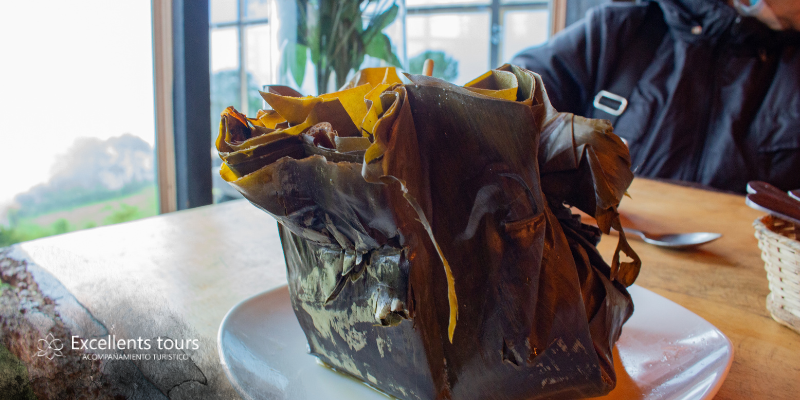 tamal-tolimense