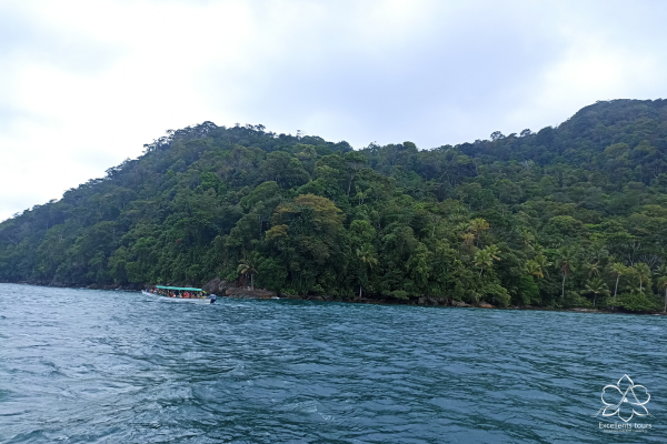 buceo