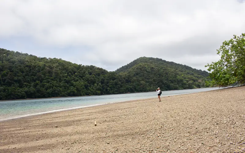 playa-en-el-parque-nacional-natural-utria