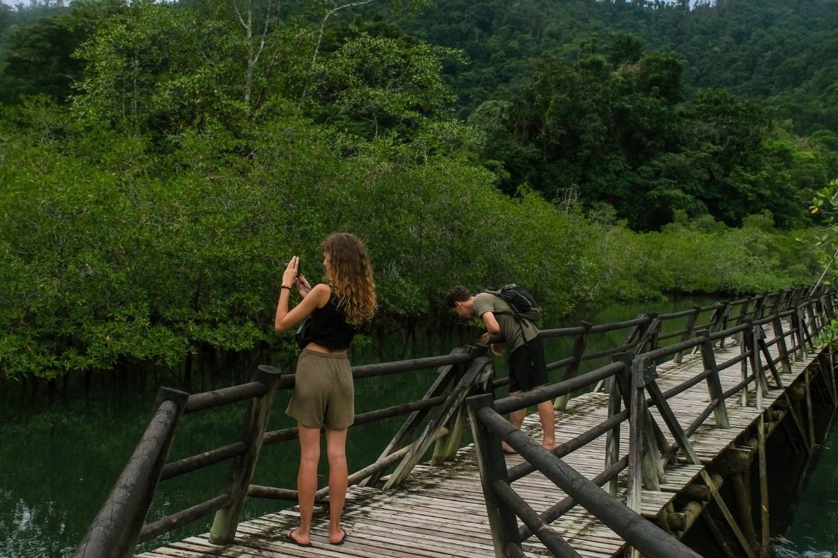 manclares-del-parque-nacional-natural-utria-en -el-pacifico-colombiano